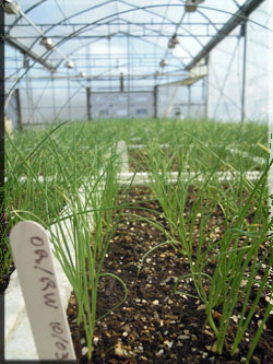 serre d trois pierres serre d trois pierres