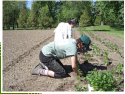 Plantation Plantation